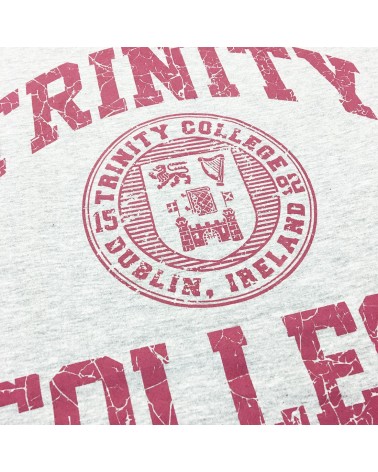 Trinity College Dublin Grey marl/ Burgundy Crest T-shirt