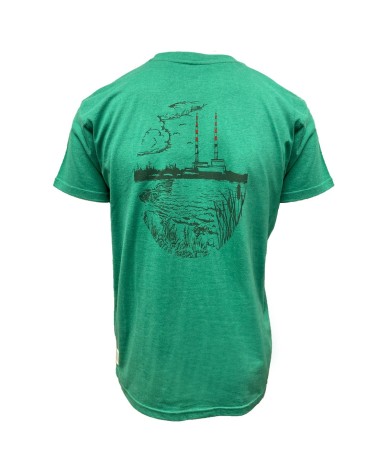Green Island Poolbeg Sketch Short-sleeve T in Emerald