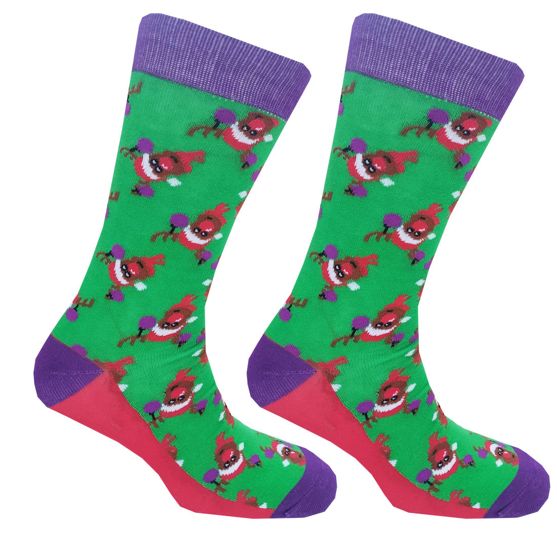 Rudolph Two Pack Mens Socks in Green & Purple