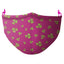 Adults Cerise Shamrock Barrier Mask (NSAI SWIFT 19 Compliant)