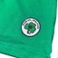 Ireland Notre Dame T-shirt in Green