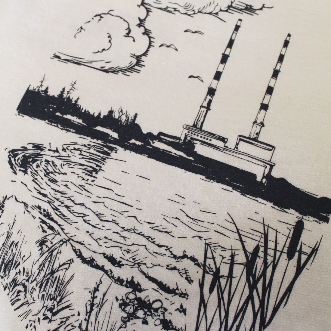 Green Island Poolbeg Sketch Short-sleeve T in Cream