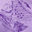 Green Island Lighthouse Sketch Short-sleeve T in Lilac