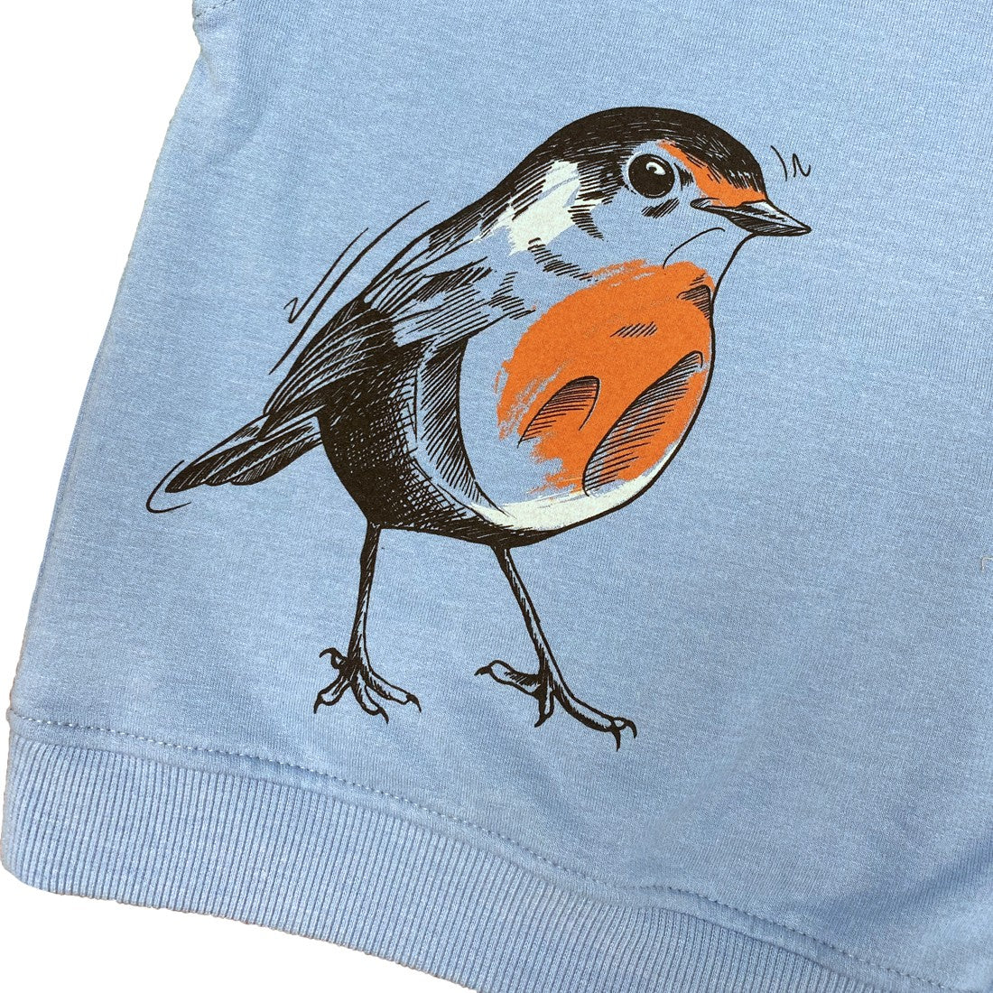 Green Island Robin Sketch Kids Hoodie in Blue