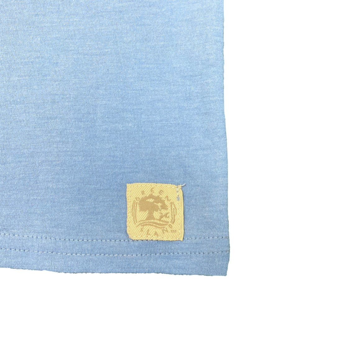 Green Island Robin Sketch Kids T in Blue