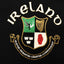 Ireland 4 Province Kids T-shirt in Navy