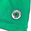 Ireland Notre Dame Kids T-shirt in Emerald