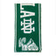 Ireland Notre Dame Scarf in Emerald & White