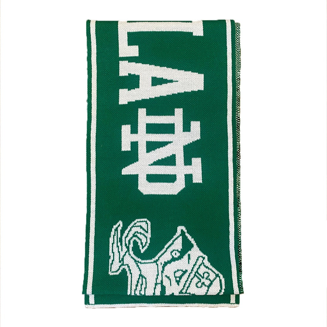 Ireland Notre Dame Scarf in Emerald & White