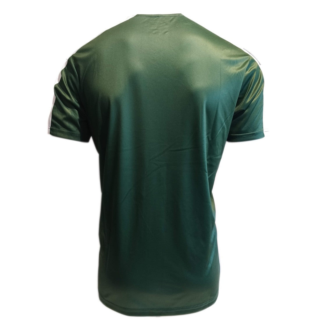 Lansdowne Ireland Sublimated Performance T-shirt in Bottle Green