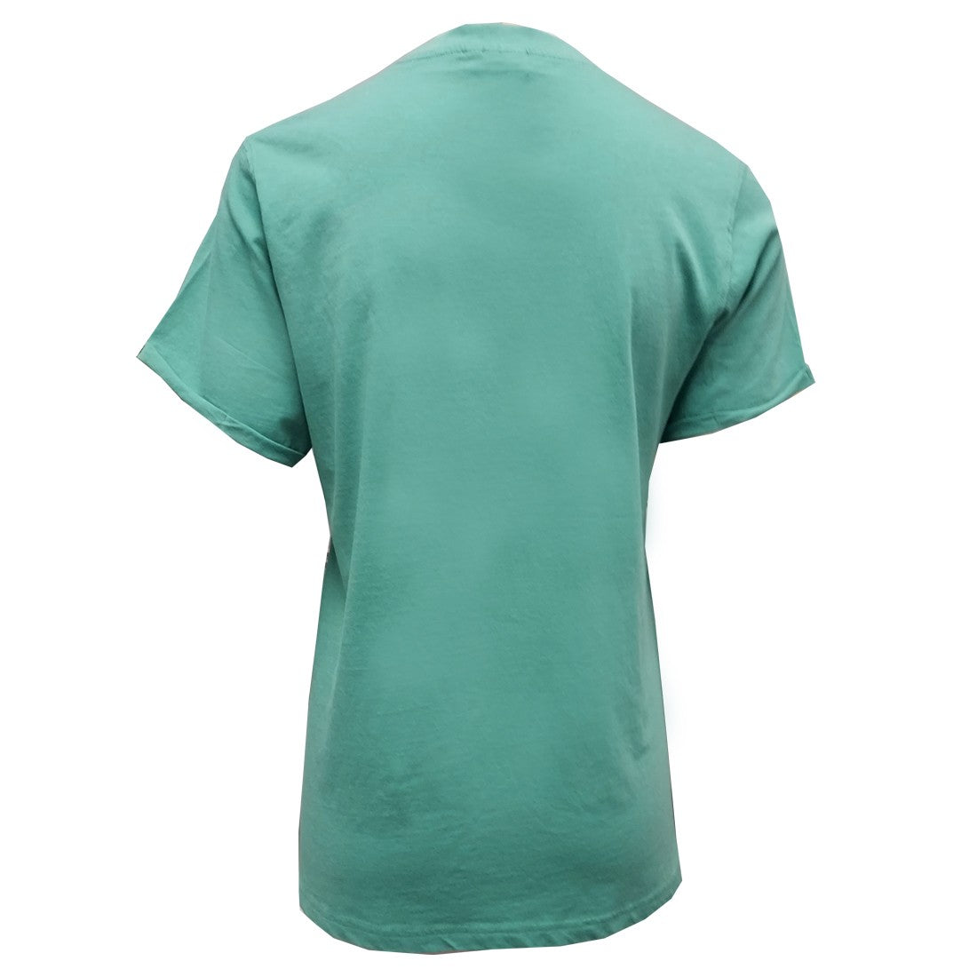 Ireland Shamrock ‘Est. 1922’ Ladies T-Shirt in Ocean Green