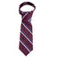 Trinity College Dublin Campanile Silk Tie