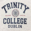 Trinity College Dublin Grey Ladies T-shirt