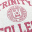 Trinity College Dublin Grey marl/ Burgundy Crest T-shirt
