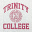 Trinity College Dublin Grey marl/ Burgundy Crest T-shirt